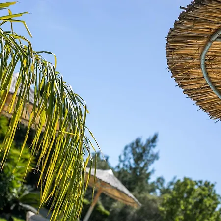 Luxury Amaltheia Rhodes *